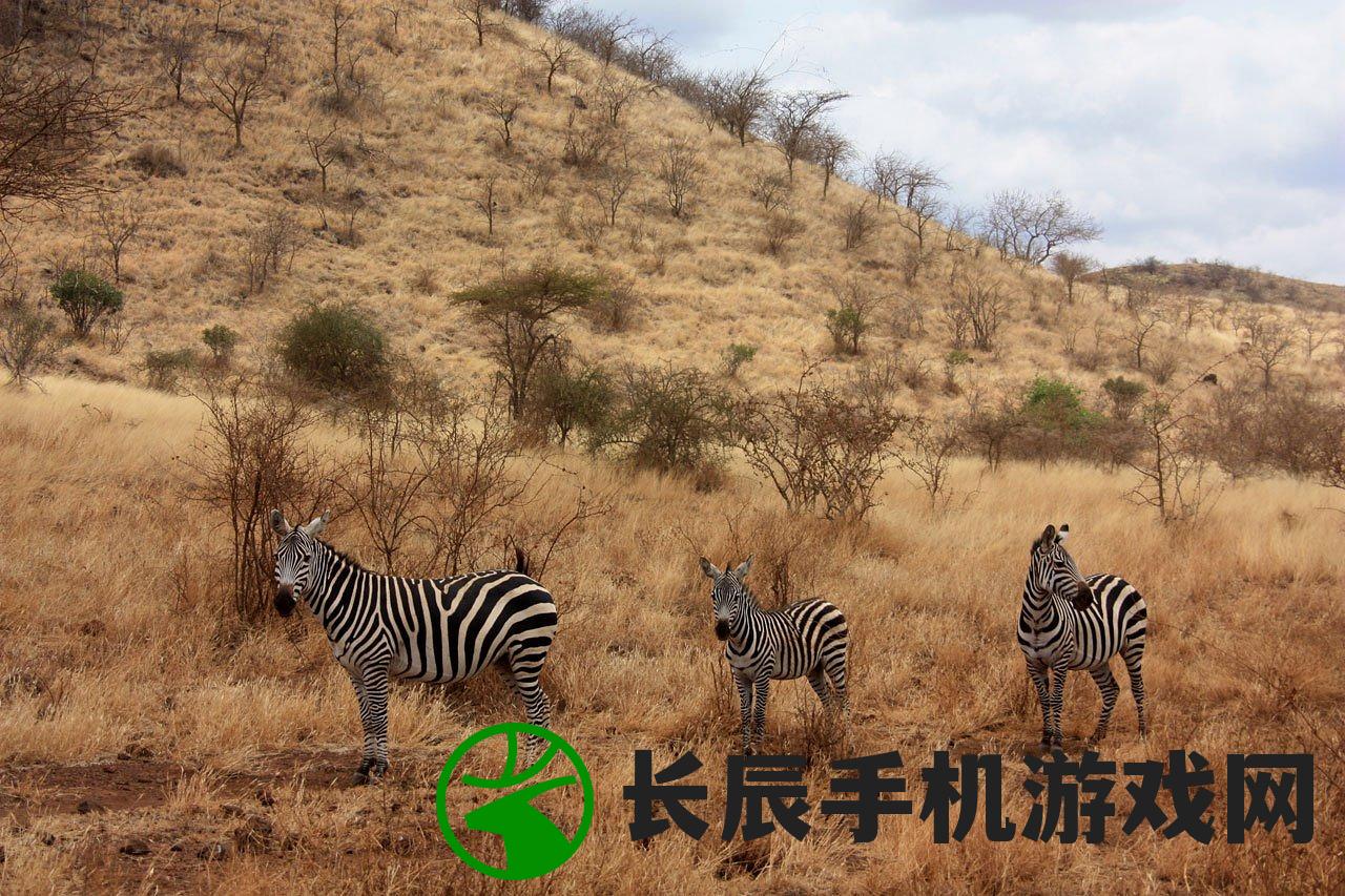 (今期四不像一肖图动物)今期四不像正确一肖|探索生活中的细腻瞬间_实况品.9.173