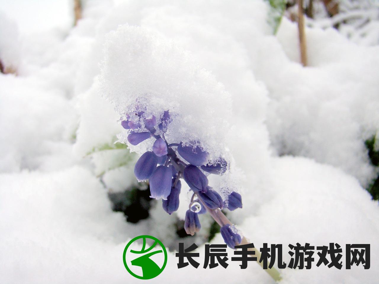 (第十一章 晋江文学城)雪中回眸：寻觅晋江文学城的迷失之路