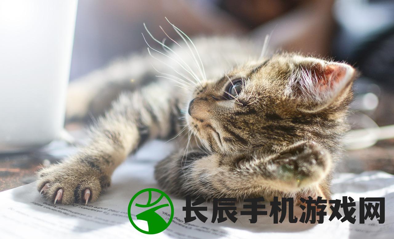 (猛鬼暑屋)猛鬼宿舍iOS版免广告，精心设计，让您畅玩无忧